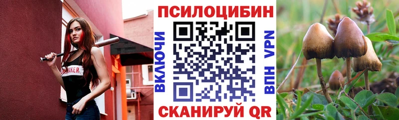 Псилоцибиновые грибы мицелий  Новохопёрск 